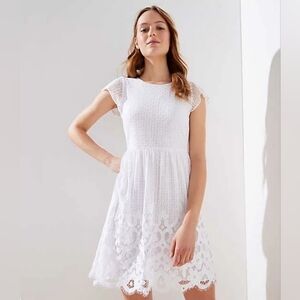 LOFTFloral Lace Flare Dress/ NWT size 6